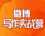 村西边老王·微博超级写作实战营,帮助你粉丝猛涨价值999元-第一资源库