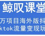 鲸叹号·海外TIKTOK训练营,百万项目海外版抖音tiktok流量变现玩法-第一资源库