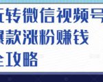 玩转微信视频号爆款涨粉赚钱全攻略，让你快速抓住流量风口，收获红利财富-第一资源库
