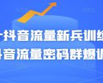 Peter抖音流量新兵训练营-破解抖音流量密码群爆训练营（新兵）-第一资源库