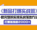 凌童《新品打爆实战班》,一套完整的实操实战落地方法，打爆链接超2000+（28节课)-第一资源库