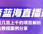 抖音最新蓝海直播玩法,3分钟赚30元,一天轻松1000+,只要你去直播就行【详细玩法教程】-第一资源库