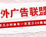外面收费1980的最新国外LEAD广告联盟搬砖项目，单号一天至少30美金【详细玩法教程】-第一资源库