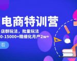 美团电商特训营:美团·店群玩法,无脑铺货月产出6000-15000+精细化月产2w+-第一资源库