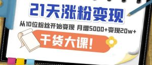 21天精准涨粉变现干货大课:从10位粉丝开始变现月增5000+变现20w+-第一资源库