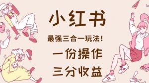 小红书最强三合一玩法,一份操作获得三份收益!【揭秘】-第一资源库