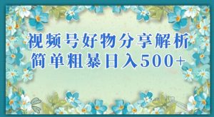 视频号好物分享解析,简单粗暴可以批量方大的项目【揭秘】-第一资源库