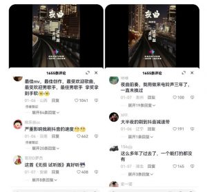 副业拆解:抖音杰伦音乐号涨粉变现项目,视频版一条龙实操玩法分享给你-第一资源库
