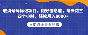 取消号码标记项目，用好信息差，每天花三四个小时，轻松月入8000+【揭秘】-第一资源库