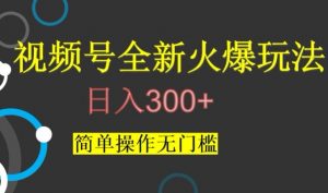 视频号最新爆火玩法,日入300+,简单操作无门槛【揭秘】-第一资源库