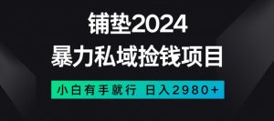 暴力私域捡钱项目，小白无脑操作，日入2980【揭秘】-第一资源库