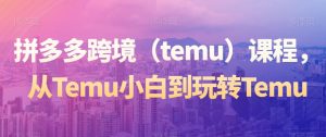拼多多跨境(temu)课程,从Temu小白到玩转Temu-第一资源库