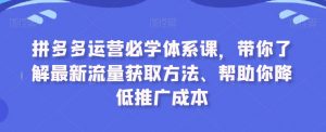 拼多多运营必学体系课,带你了解最新流量获取方法、帮助你降低推广成本-第一资源库