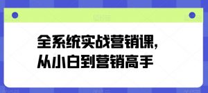 全系统实战营销课,从小白到营销高手-第一资源库