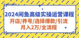 2024闲鱼高级实操运营课程:开店/养号/选择爆款/引流/月入2万/全流程-第一资源库