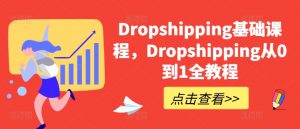 Dropshipping基础课程，Dropshipping从0到1全教程-第一资源库