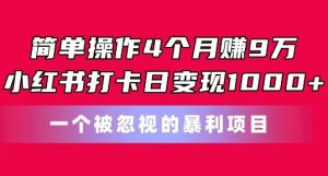 简单操作4个月赚9w，小红书打卡日变现1k，一个被忽视的暴力项目【揭秘】-第一资源库
