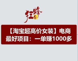 淘宝超高价女装项目,电商最好赛道,一单赚1000多-第一资源库