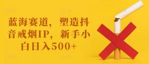 蓝海赛道,塑造抖音戒烟IP,新手小白日入500+【揭秘】-第一资源库
