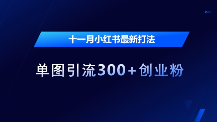 十一月小红书最新打法，单图引流300+创业粉【揭秘】-第一资源库