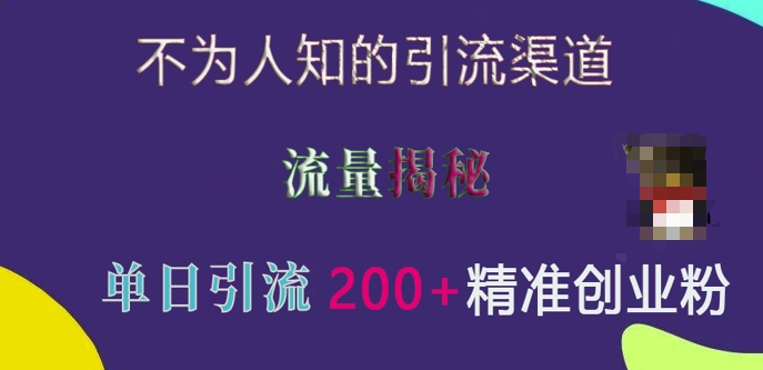 不为人知的引流渠道，流量揭秘，实测单日引流200+精准创业粉【揭秘】-第一资源库
