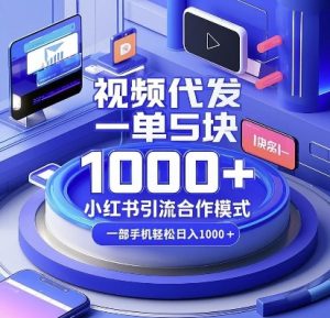 视频代发,一单5块,小红书引流合作模式,一部手机轻松日入多张【揭秘】-第一资源库