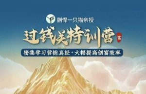 剽悍一只猫-过钱关特训营，学习营销真经 大幅度提高创富效率-第一资源库