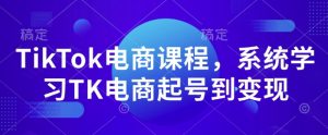 TikTok电商课程，​系统学习TK电商起号到变现-第一资源库