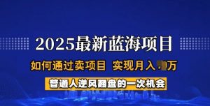 2025蓝海项目,普通人如何通过卖项目,实现月入过W,全过程【揭秘】-第一资源库